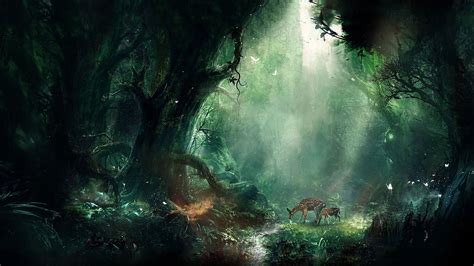 The Forbidden Forest Harry Potter Wallpapers - Wallpaper Cave