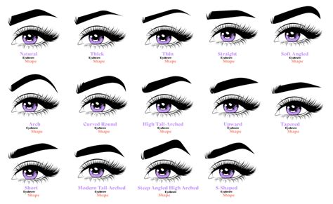 The Fullest Eyebrow Shapes Guide You Need - Lilac St.