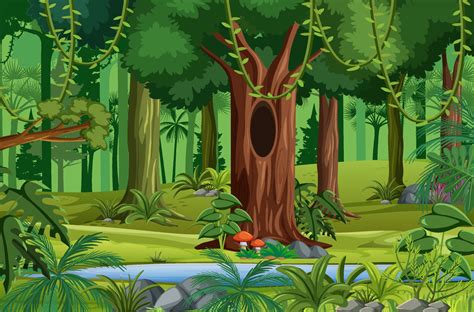 Forest scene with liana and many trees 1998774 Vector Art at Vecteezy