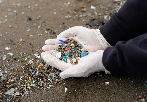 Microplastics can make other pollutants more toxic - Earth.com