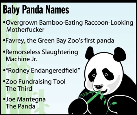 Baby Panda Names