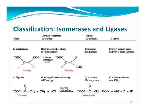 Enzymes