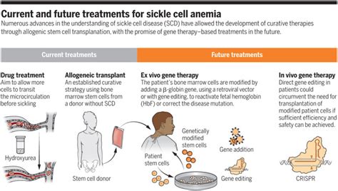 Treatment for Anemia | Homeopathic Medicine for Anemia Treatment