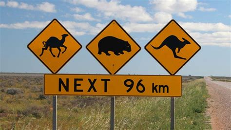 Australian road signs for dummies - Car Advice | CarsGuide