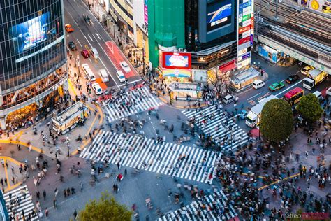 - Famous Shibuya pedestrian crossing, Tokyo, Japan | Royalty Free Image