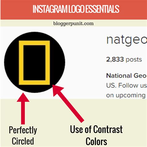 Why Instagram Profile Picture is Essential for your Brand?