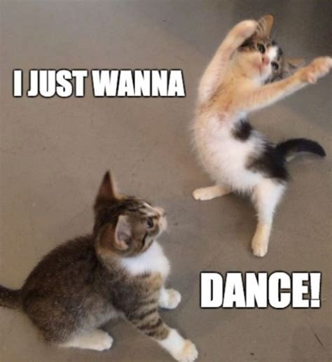 Image - Dancing-Cats-2-595x650.jpg | Lumber Tycoon 2 Wikia | Fandom ...