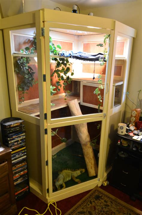 Newly Built Iguana Enclosure | Iguana cage, Iguana, Iguana pet