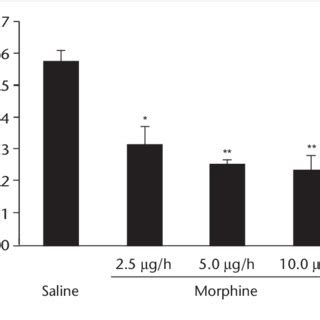 Effect of 2.5, 5.0 and 10.0 µg/h intrathecal morphine on natural killer ...