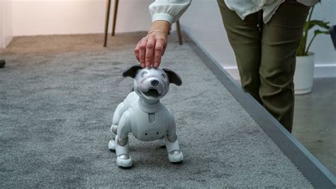 Hands on: Sony Aibo review | TechRadar