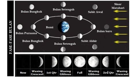 Carilah Informasi Tentang Perubahan Fase Bulan yang Terjadi ...