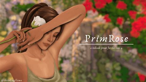 29+ Gorgeous Sims 4 ReShade Presets For A More Aesthetic Game!