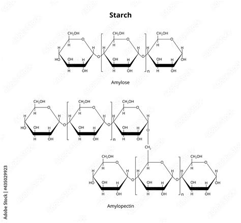 2D vector structural formula of natural biopolymer polysaccharide ...