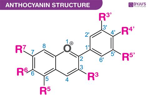 Anthocyanins - Structure, Molecular mass, Properties, Uses On BYJU’S.