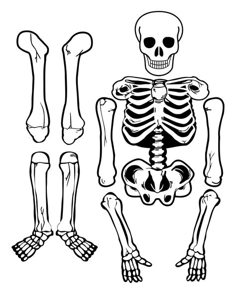 Skeleton Pieces Printable