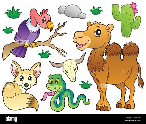 Desert animals collection 1 Stock Vector Image & Art - Alamy