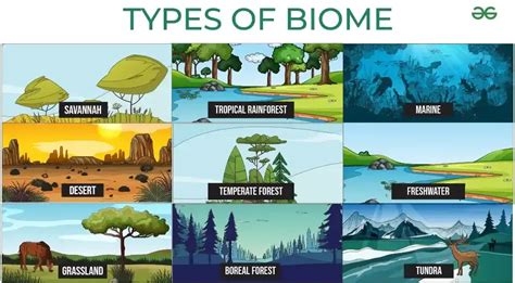 What is Biome? Definition, Types, Characteristics, Examples