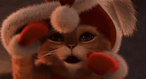 Cat Christmas GIF - Find & Share on GIPHY