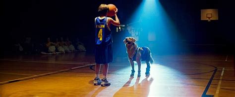 Actually, Air Bud Sucks at Basketball | MEL Magazine