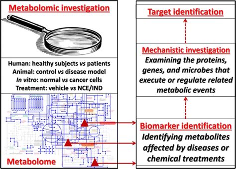 Approaches and applications of metabolomics-based biomarker ...