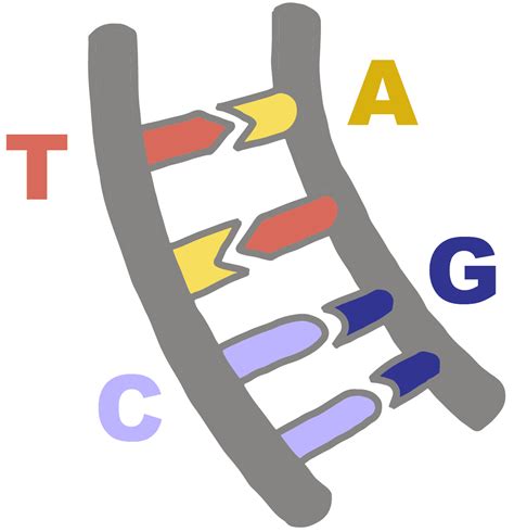 Complementary - Innovative Genomics Institute (IGI)