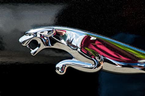 Jaguar Car Emblem Photograph by Don Johnson - Pixels