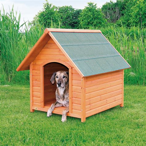 Dog Houses For Large Dogs - WebNuggetz.com | WebNuggetz.com