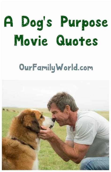 Heartwarming A Dog's Purpose Movie Quotes - OurFamilyWorld