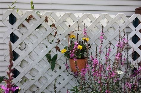 Lattice Fencing – Not Just Cheap Concealment