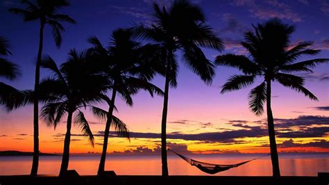 Tropical beach at sunset and palm hammocks Wallpapers, Beach Pictures ...