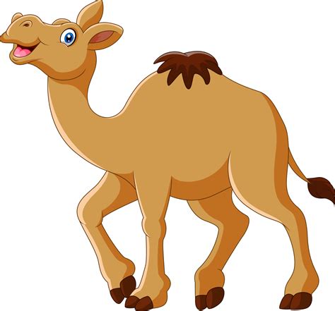 Cartoon funny camel smile and standing 12805427 Vector Art at Vecteezy