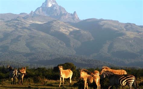 Mount Kenya National Park | Mount Kenya | Kenya Safaris Tours