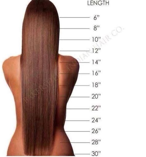 Whats your goal? I am going for 26" | Hair length guide, Hair length ...