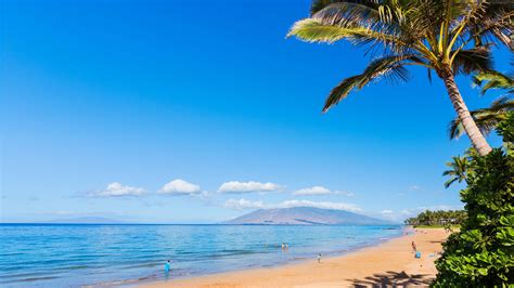 Maui Beach Wallpapers - Top Free Maui Beach Backgrounds - WallpaperAccess