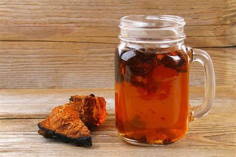 Chaga Mushroom Tea: Health Benefits and Side Effects