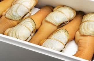 Geoduck DIVERS - A breed of their own - DiveSafe International