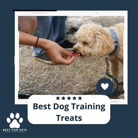 The 15 Best Dog Training Treats of 2023