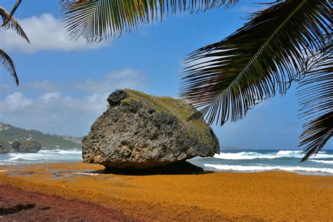 Bathsheba Rock in Bathsheba, Barbados - Encircle Photos