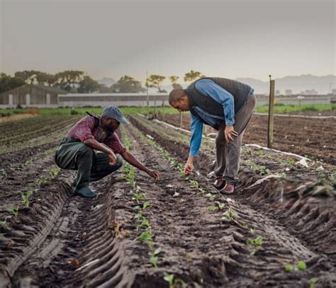 Small Scale Farming versus Large Scale Farming in Ghana – Mega ...