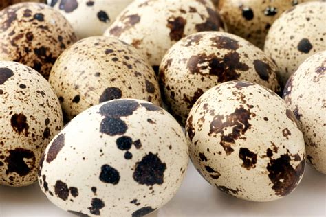 Quail Eggs: Health Benefits, Recipes & More - Heritage Acres Market LLC