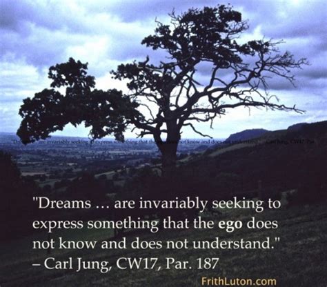 Carl Jung Quotes On Dreams. QuotesGram