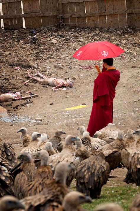 Larung Gar Buddhist Academy - East Tibet - Galleries - ORTHart ...