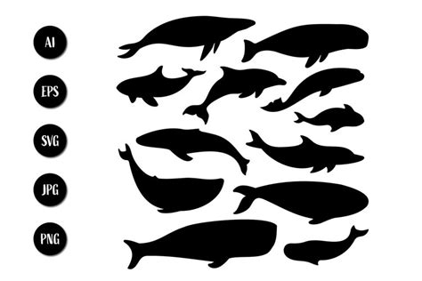 whale silhouette vector illustration