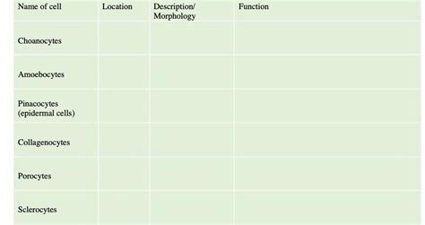 [Solved] Name of cell Location Description/ Function Morphology ...