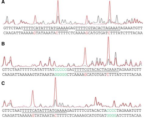 DNase I footprinting of Pcas DNA. DNase I footprinting of Pcas DNA was ...