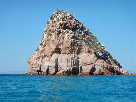 Espiritu Santo Island Tour - Adventures in Baja