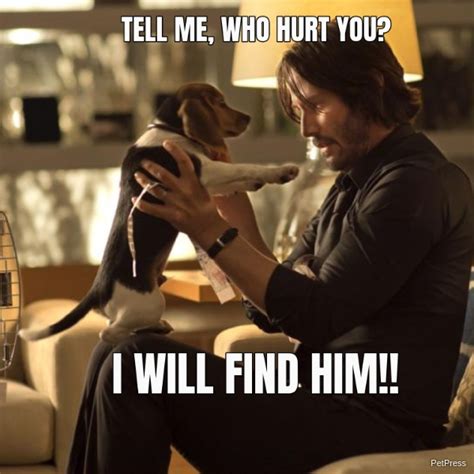 10+ John Wick dog Memes Will Make you Love your dog - PetPress