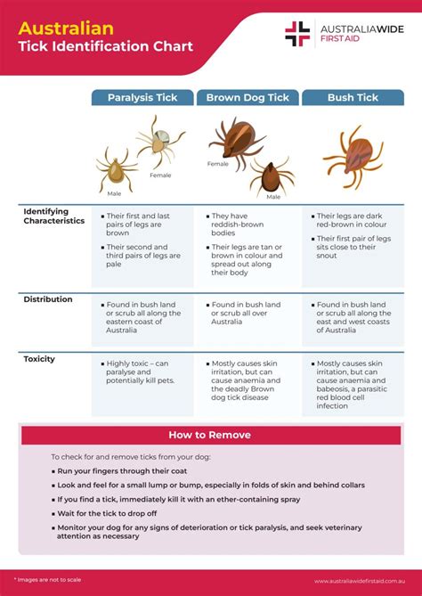 Australian Tick Identification Chart