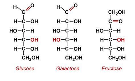 IIT JEE Carbohydrates - JEE Carbohydrates Amino Acids Study Material