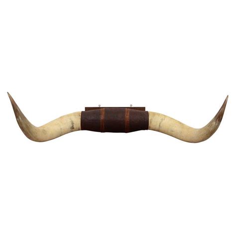 Pair of Vintage Ox Horns with Tooled Leather Mounting at 1stdibs